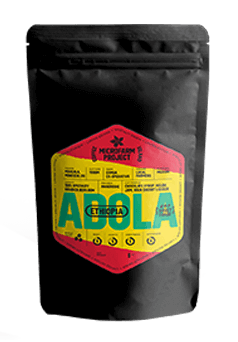 Ethiopia Adola
