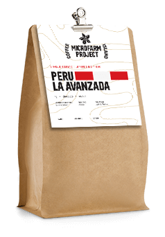 Peru La Avanzada