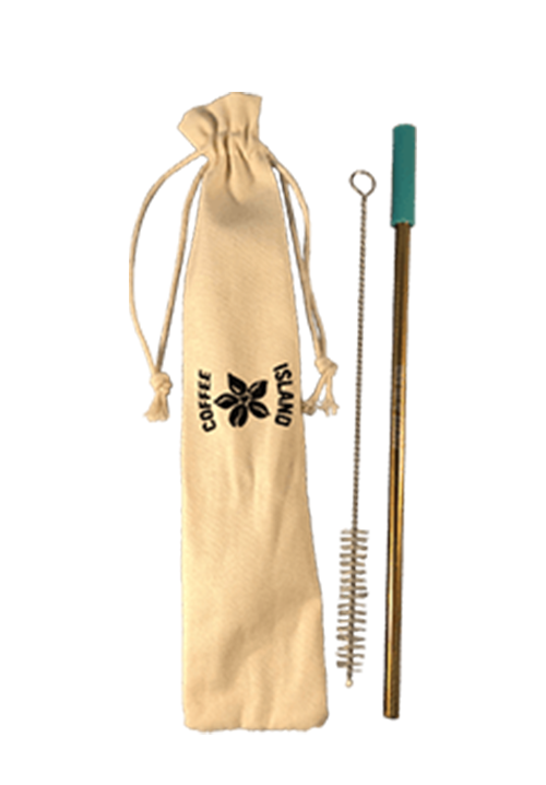 Reusable Metal Straw (Gold - Aqua)
