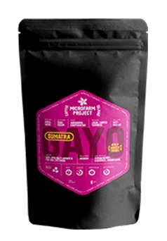 sumatra gayo coffee sumatra gayo coffee